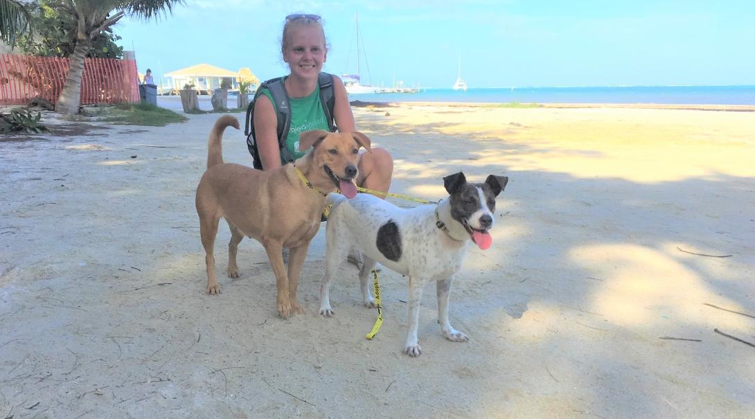 Projects Abroad volunteer poses for a photo on the beach with dogs as she volunteers with animals in Belize A volunteer with animals in Belize poses for a photo with the dogs on the beach